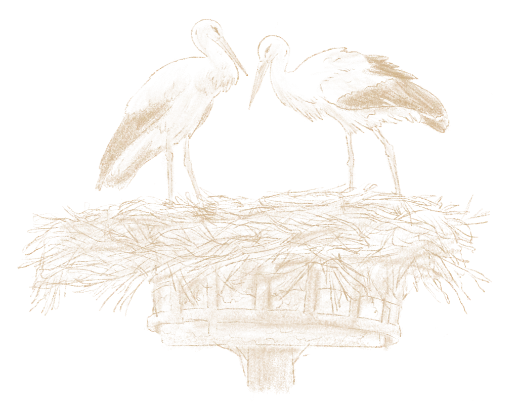 Deux oiseaux blancs se tiennent sur un nid construit sur une structure en bois