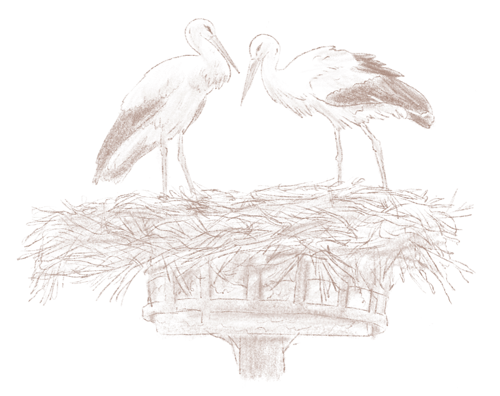 Deux oiseaux blancs se tiennent sur un nid construit sur une structure en bois