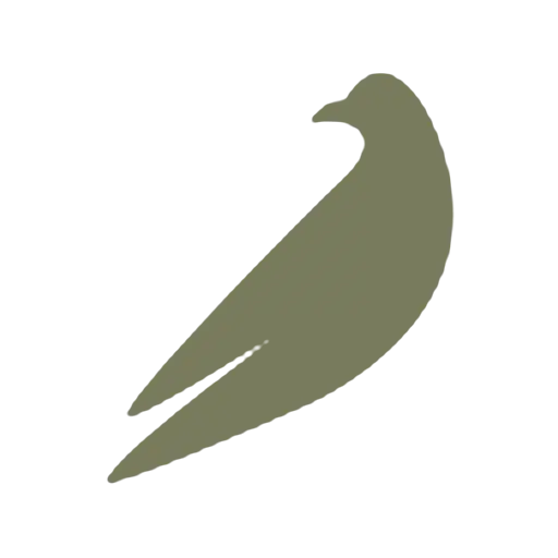 Silhouette of a green bird in flight