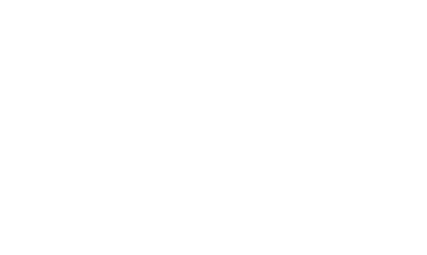 A plain white background with no visible elements