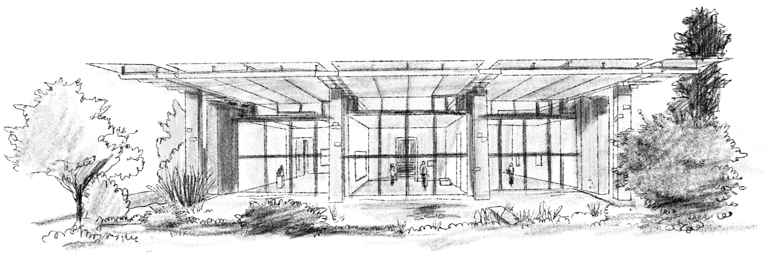 Dessin architectural d'un bâtiment moderne avec de grandes baies vitrées, entouré de végétation