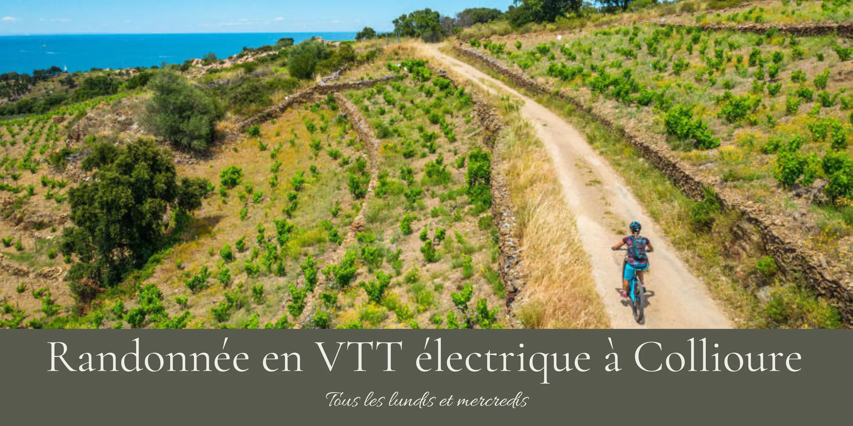 Personne faisant du vélo tout terrain électrique sur un sentier en colline près de la mer à Collioure