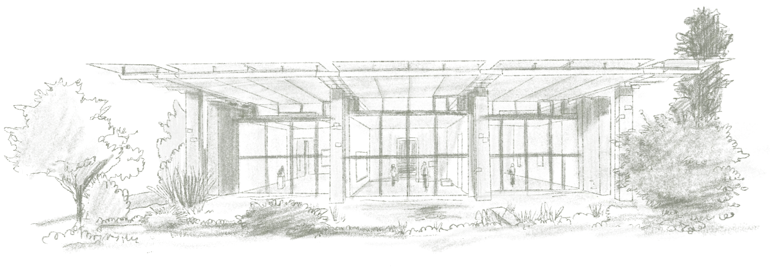 Dessin architectural d'un bâtiment moderne avec de grandes baies vitrées, entouré de végétation