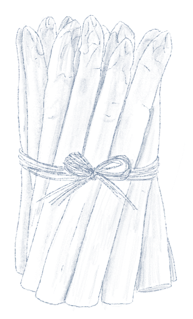 Un bouquet d'asperges blanches attachées avec une ficelle